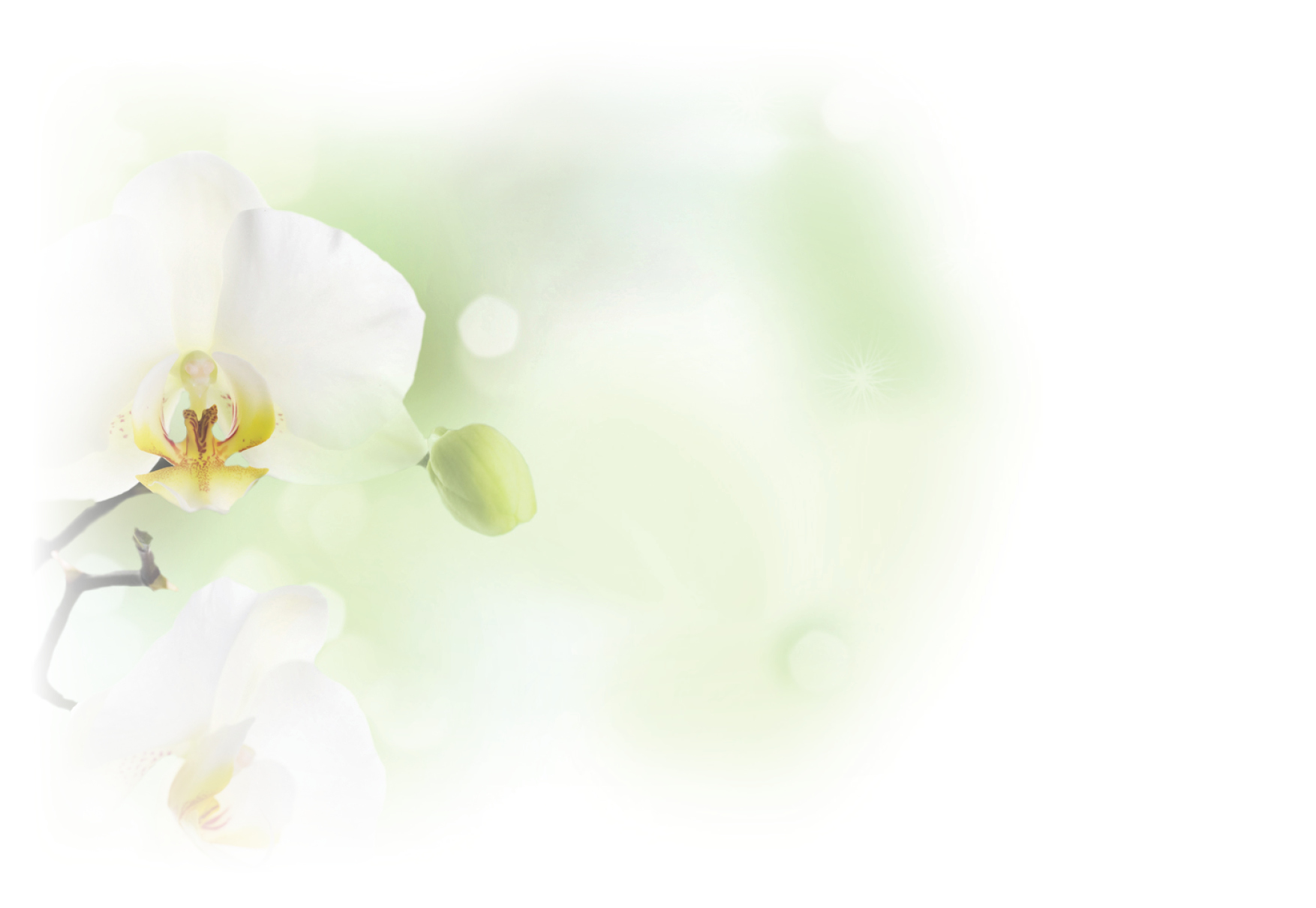 aa