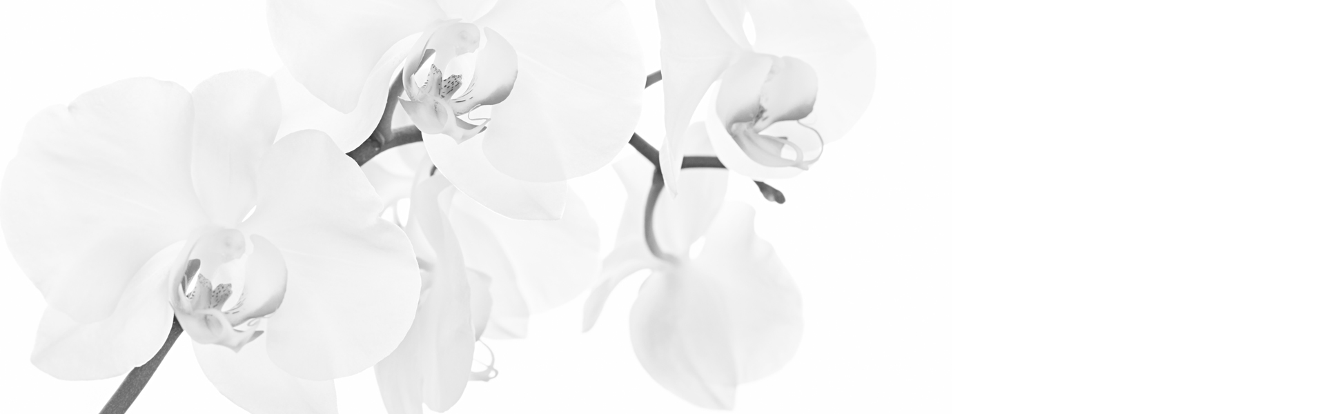 achtergrond