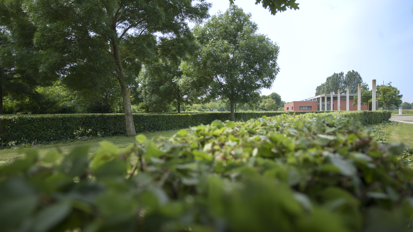 Begraafplaats Sint Janshof Pijnacker-Nootdorp