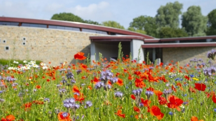 Crematorium Iepenhof