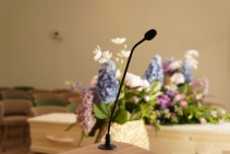 Kleine aula Iepenhof