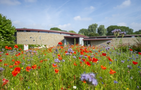 Crematorium Iepenhof
