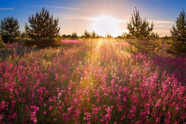 ondergaande zon