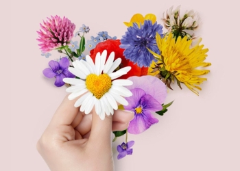 Bloemen in hand