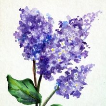 afb
