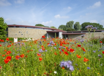 Crematorium Iepenhof